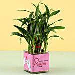 2 Layer Bamboo Plant For Promise Day