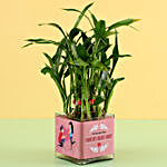 2 Layer Bamboo Plant For Propose Day