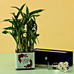 Bamboo Plant For Rose Day & Silver Rose