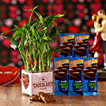 Bamboo Plant & LuvIt Chocolates