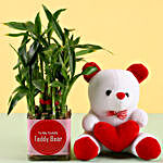 Bamboo Plant & Teddy Bear