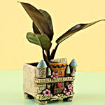 Red Philodendron Plant In Ceramic Pot