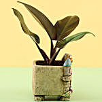 Red Philodendron Plant In Ceramic Pot