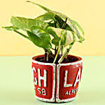 Red Pot of Money Plant