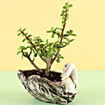 Jade Plant in Resin Pot