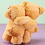 Special Hugging Teddy