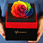 Big Forever Rainbow Rose in Black Velvet Box