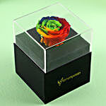 Rainbow Forever Rose In Black Box