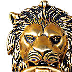 Brass Lion Face Door Knocker
