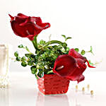 Artificial Red Calla Lilies In Red Pot