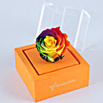 Rainbow Forever Rose In Orange Box