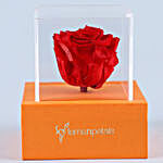 Red Forever Rose In Orange Box