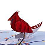Cardinal Bird Pop Up 3D Greeting Card