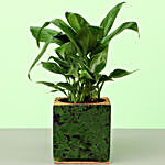 Peace Lily In Green Cork Planter
