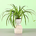 Spider Plant In Artistic Resin Planter