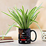 Spider Plant In Black Mug For Dad