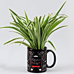 Spider Plant In Black Mug For Dad