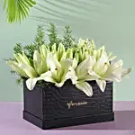 10 White Asiatic Lilies Box Arrangement