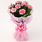 Beautiful 8 Pink Carnations Flower Bouquet