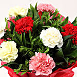8 Mixed Carnations Bouquet- Small