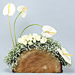 White Anthuriums & Roses Wooden Log