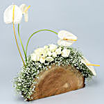 White Anthuriums & Roses Wooden Log