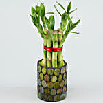 5 Bamboo Sticks in Green Mosaic Votive