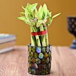 5 Bamboo Sticks in Green Mosaic Votive