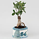 Ficus Ginseng Bonsai & Jade Plant Set