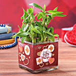 Two Layer Bamboo Plant In Im Lucky To Have You Sticker Vase