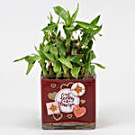 Two Layer Bamboo Plant In Im Lucky To Have You Sticker Vase