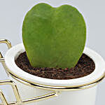 Hoya Plant Duo In Ceramic Pots With Golden Stand