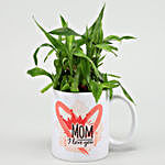 Two Layer Bamboo Plant In I Love You Mom Mug