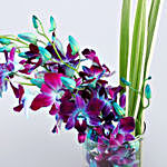 Free Designer Capsule Rakhi With Blue Orchids Vase