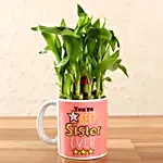 2 Layer Bamboo Plant In Best Sister Mug