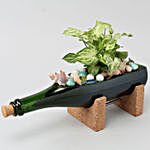 Syngonium Plant In Elegant Champagne Bottle Planter