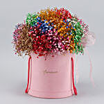 Multicoloured Gypsophila FNP Pink Round Box