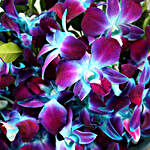 Gleaming Love Orchids Flower Bouquet