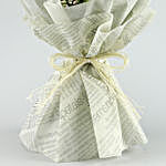 Wrapped In Elegance Roses Bouquet