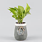 Money Plant Grey & White Home Sweet Home Pot