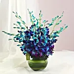 Beautiful Orchids Glass Vase Arrangement