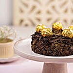 Delectable Rocher Truffle Cake- 1 Kg