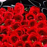 Love Extravaganza 75 Roses Bouquet