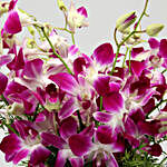 Stunning Purple Orchid Bunches