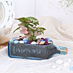 Pink Syngonium Plant In Bombay Sapphire Bottle Planter
