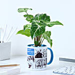 Personalised Syngonium Gift for Super Dads