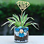 Spider Plant Tribute to Remarkable Dads