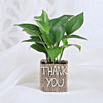Money Plant In Thank You Vase