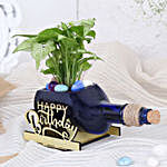 Happy Birthday Syngonium Plant & Cake Combo
