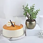 Tropical Vibes Plant & Cake Combo